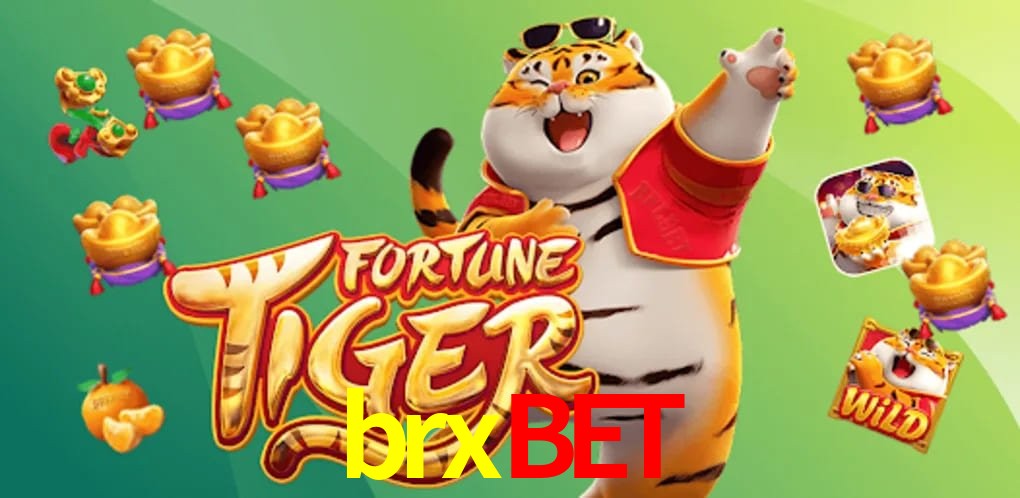Game Statistics brxbet